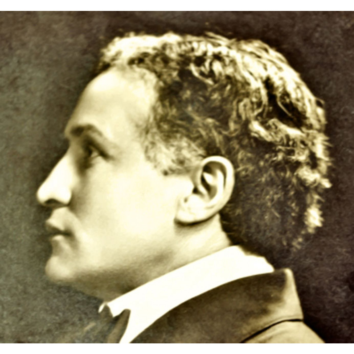 Houdini Unbound Large EBook Collection Martinka Magic