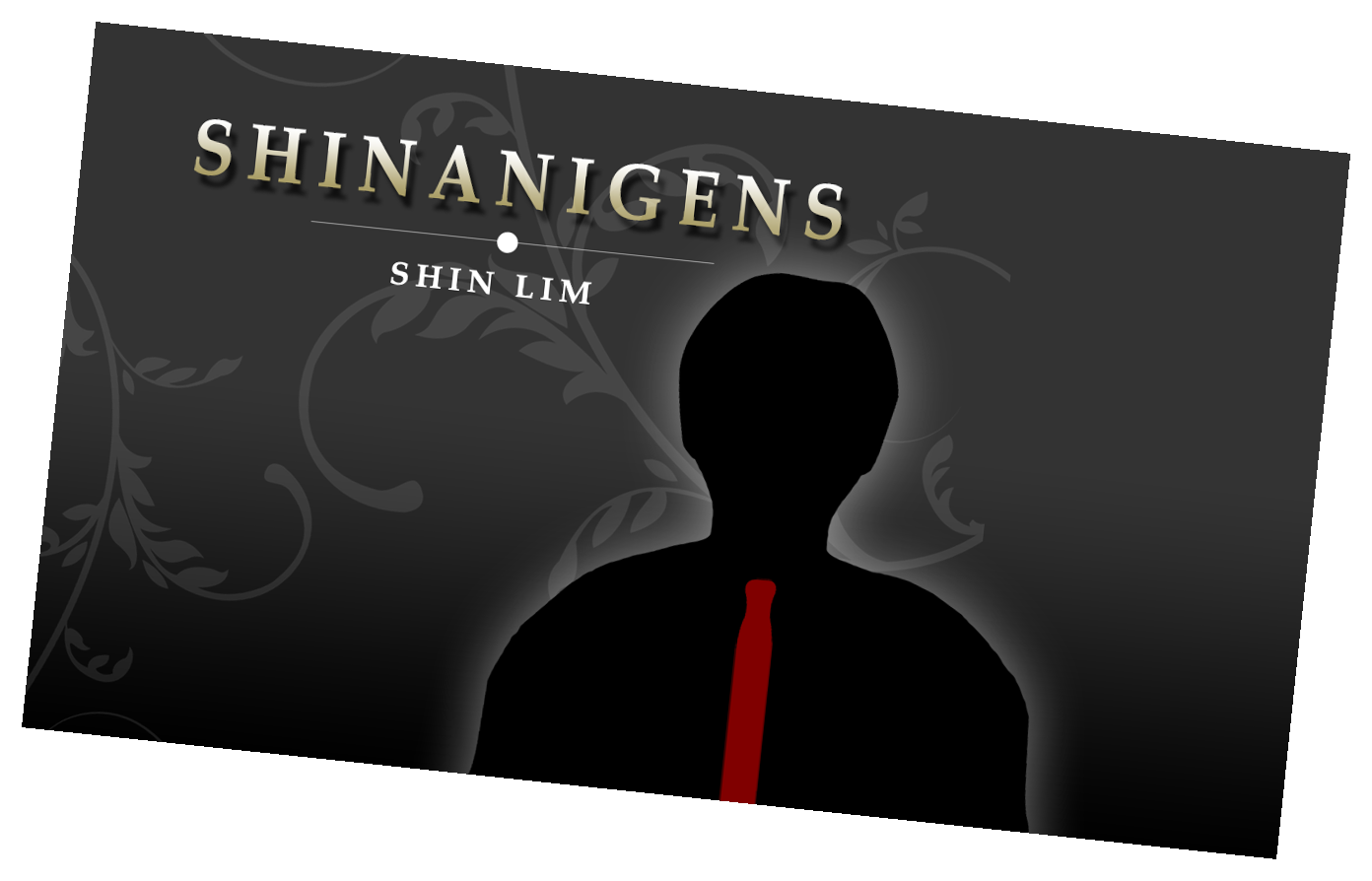 Shinanigens by Shin Lim (Two Disc Set) - DVD