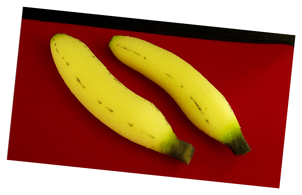 Sponge Large Bananas prop for Display or Magic Tricks