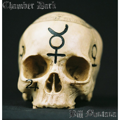 Chamber Dark by Bill Montana - eBook DOWNLOAD