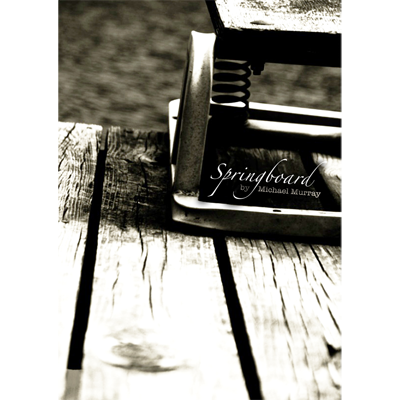 Springboard by Michael Murray - eBook