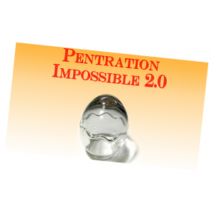 Penetration Impossible Magic Coin Trick 2.0 by Higpon