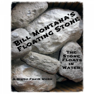 Floating Stone by Bill Montana - eBook DOWNLOAD