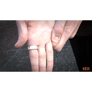 Freak by Will Houstoun video DOWNLOAD